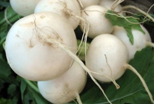 Turnips/Flickr Creative Commons/By michael.newman