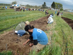 The Oregon State organic growers club farm