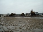 DSC02809