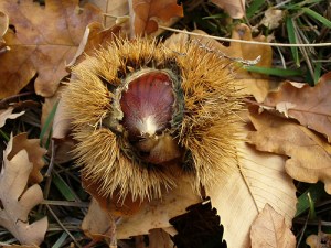 305912876_6dfae5eb42